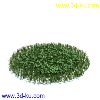 虞美人,长药八宝,草丛,三棱草,欧洲油菜,羽扇豆,大翅蓟,大石头模型,草,植物模型合集的图片