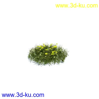 虞美人,长药八宝,草丛,三棱草,欧洲油菜,羽扇豆,大翅蓟,大石头模型,草,植物模型合集的图片