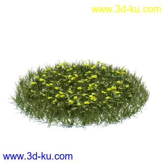 虞美人,长药八宝,草丛,三棱草,欧洲油菜,羽扇豆,大翅蓟,大石头模型,草,植物模型合集的图片