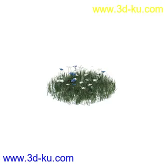 虞美人,长药八宝,草丛,三棱草,欧洲油菜,羽扇豆,大翅蓟,大石头模型,草,植物模型合集的图片