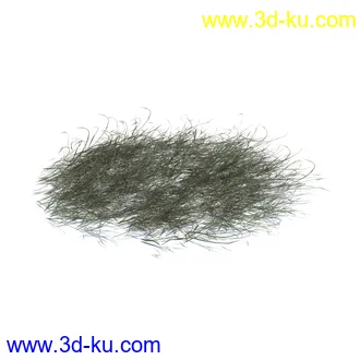 虞美人,长药八宝,草丛,三棱草,欧洲油菜,羽扇豆,大翅蓟,大石头模型,草,植物模型合集的图片