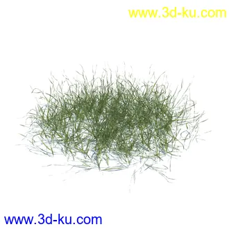 虞美人,长药八宝,草丛,三棱草,欧洲油菜,羽扇豆,大翅蓟,大石头模型,草,植物模型合集的图片