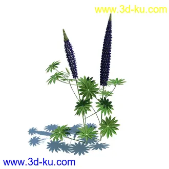 虞美人,长药八宝,草丛,三棱草,欧洲油菜,羽扇豆,大翅蓟,大石头模型,草,植物模型合集的图片