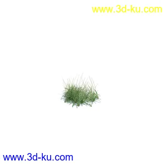 虞美人,长药八宝,草丛,三棱草,欧洲油菜,羽扇豆,大翅蓟,大石头模型,草,植物模型合集的图片