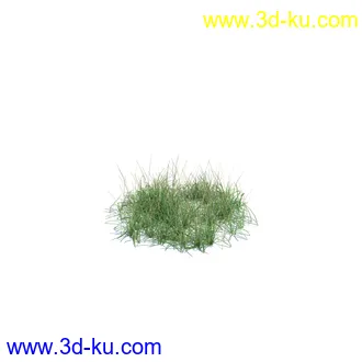 虞美人,长药八宝,草丛,三棱草,欧洲油菜,羽扇豆,大翅蓟,大石头模型,草,植物模型合集的图片