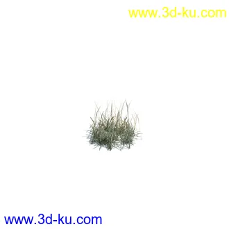 虞美人,长药八宝,草丛,三棱草,欧洲油菜,羽扇豆,大翅蓟,大石头模型,草,植物模型合集的图片