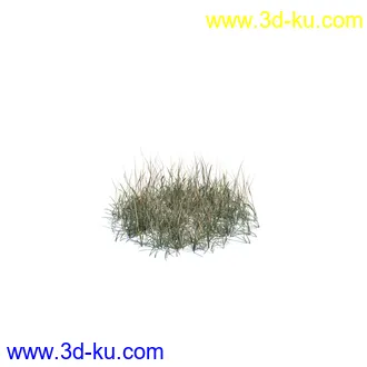 虞美人,长药八宝,草丛,三棱草,欧洲油菜,羽扇豆,大翅蓟,大石头模型,草,植物模型合集的图片36