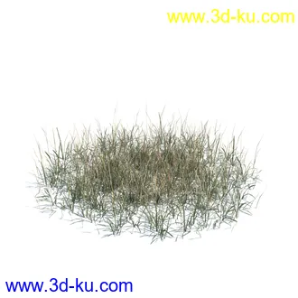 虞美人,长药八宝,草丛,三棱草,欧洲油菜,羽扇豆,大翅蓟,大石头模型,草,植物模型合集的图片37