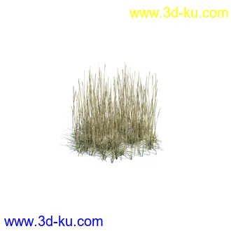 虞美人,长药八宝,草丛,三棱草,欧洲油菜,羽扇豆,大翅蓟,大石头模型,草,植物模型合集的图片39