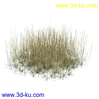 虞美人,长药八宝,草丛,三棱草,欧洲油菜,羽扇豆,大翅蓟,大石头模型,草,植物模型合集的图片40