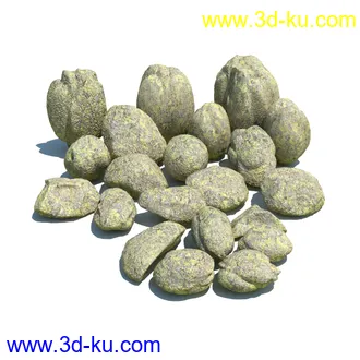 虞美人,长药八宝,草丛,三棱草,欧洲油菜,羽扇豆,大翅蓟,大石头模型,草,植物模型合集的图片45