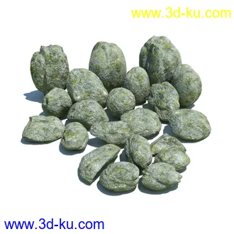 虞美人,长药八宝,草丛,三棱草,欧洲油菜,羽扇豆,大翅蓟,大石头模型,草,植物模型合集的图片47