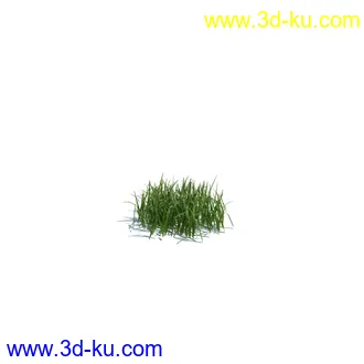 虞美人,长药八宝,草丛,三棱草,欧洲油菜,羽扇豆,大翅蓟,大石头模型,草,植物模型合集的图片50