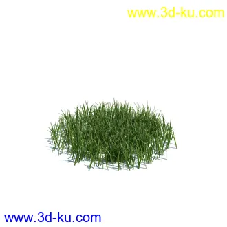 虞美人,长药八宝,草丛,三棱草,欧洲油菜,羽扇豆,大翅蓟,大石头模型,草,植物模型合集的图片51