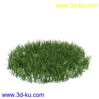 虞美人,长药八宝,草丛,三棱草,欧洲油菜,羽扇豆,大翅蓟,大石头模型,草,植物模型合集的图片52