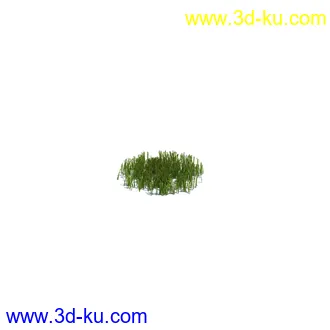 小草,杂草,草丛,薰衣草,臭草,田旋花,针茅,禾本科,看麦娘,俯垂臭草,草,植物模型合集的图片3