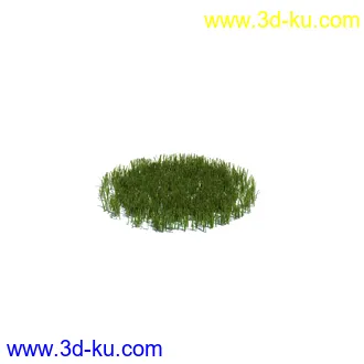 小草,杂草,草丛,薰衣草,臭草,田旋花,针茅,禾本科,看麦娘,俯垂臭草,草,植物模型合集的图片4