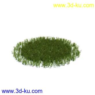 小草,杂草,草丛,薰衣草,臭草,田旋花,针茅,禾本科,看麦娘,俯垂臭草,草,植物模型合集的图片5