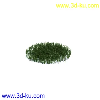 小草,杂草,草丛,薰衣草,臭草,田旋花,针茅,禾本科,看麦娘,俯垂臭草,草,植物模型合集的图片7