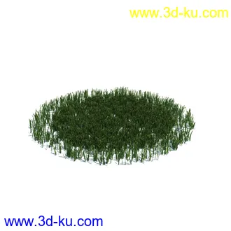 小草,杂草,草丛,薰衣草,臭草,田旋花,针茅,禾本科,看麦娘,俯垂臭草,草,植物模型合集的图片8