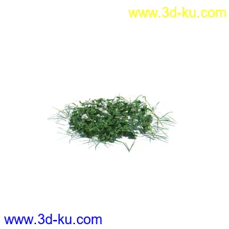 小草,杂草,草丛,薰衣草,臭草,田旋花,针茅,禾本科,看麦娘,俯垂臭草,草,植物模型合集的图片13