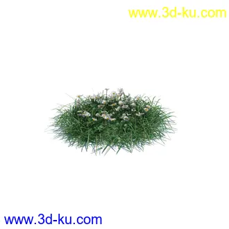 小草,杂草,草丛,薰衣草,臭草,田旋花,针茅,禾本科,看麦娘,俯垂臭草,草,植物模型合集的图片