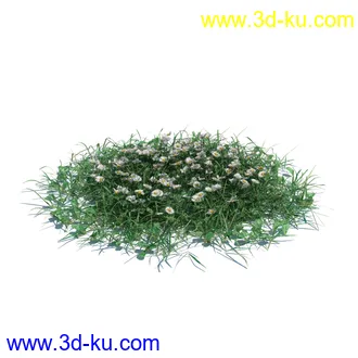 小草,杂草,草丛,薰衣草,臭草,田旋花,针茅,禾本科,看麦娘,俯垂臭草,草,植物模型合集的图片