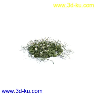 小草,杂草,草丛,薰衣草,臭草,田旋花,针茅,禾本科,看麦娘,俯垂臭草,草,植物模型合集的图片