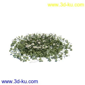 小草,杂草,草丛,薰衣草,臭草,田旋花,针茅,禾本科,看麦娘,俯垂臭草,草,植物模型合集的图片