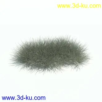 针茅,花蔺,芒草,荻草,燕麦草,巨芒,羊茅,大油芒,虉草,金叶苔草,草本植物模型合集的图片