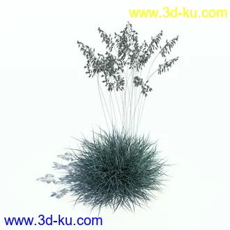 针茅,花蔺,芒草,荻草,燕麦草,巨芒,羊茅,大油芒,虉草,金叶苔草,草本植物模型合集的图片