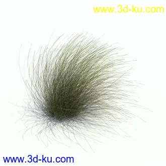 针茅,花蔺,芒草,荻草,燕麦草,巨芒,羊茅,大油芒,虉草,金叶苔草,草本植物模型合集的图片