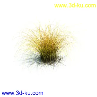 针茅,花蔺,芒草,荻草,燕麦草,巨芒,羊茅,大油芒,虉草,金叶苔草,草本植物模型合集的图片