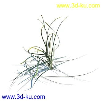 凌风草,羊茅,米草,野牛草,酸沼草,赖草,姬凤梨,地榆,毛头牛蒡,草本植物模型合集的图片9