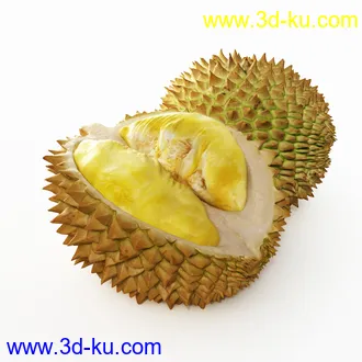 核桃,红毛丹,毛荔枝,榴莲,苹果,火龙果,树莓,山莓,红草莓,龙眼,桂圆,水果模型合集的图片