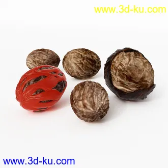 核桃,红毛丹,毛荔枝,榴莲,苹果,火龙果,树莓,山莓,红草莓,龙眼,桂圆,水果模型合集的图片