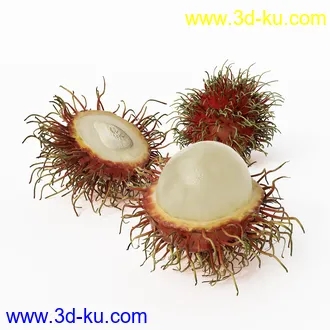 核桃,红毛丹,毛荔枝,榴莲,苹果,火龙果,树莓,山莓,红草莓,龙眼,桂圆,水果模型合集的图片