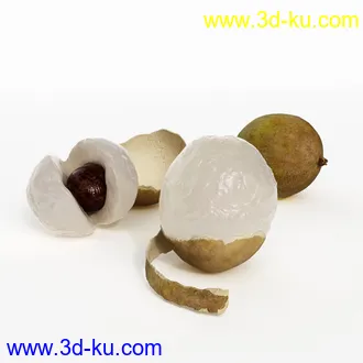 核桃,红毛丹,毛荔枝,榴莲,苹果,火龙果,树莓,山莓,红草莓,龙眼,桂圆,水果模型合集的图片
