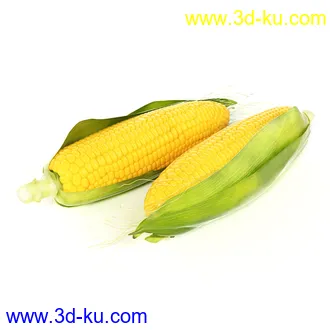 黄瓜,青瓜,萝卜,玉米,土豆,马铃薯,花白菜,花菜,樱桃萝卜,木瓜,蔬菜模型合集的图片