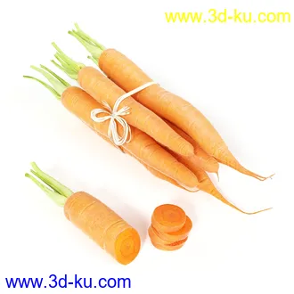 黄瓜,青瓜,萝卜,玉米,土豆,马铃薯,花白菜,花菜,樱桃萝卜,木瓜,蔬菜模型合集的图片3