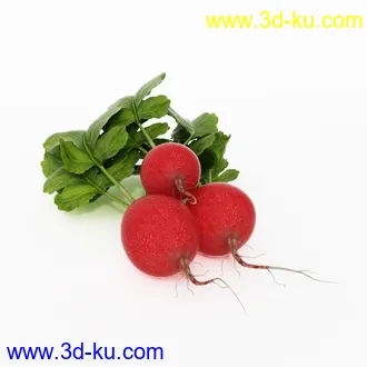 黄瓜,青瓜,萝卜,玉米,土豆,马铃薯,花白菜,花菜,樱桃萝卜,木瓜,蔬菜模型合集的图片