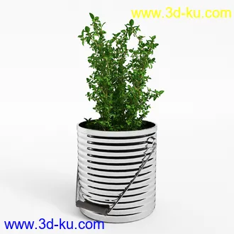 石榴,香蕉,梨子,布霖,西兰花,绿菜花,西芹,葱,蘑菇,食用菌,青菜,韭菜,蔬菜水果模型合集的图片