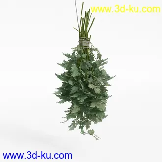 石榴,香蕉,梨子,布霖,西兰花,绿菜花,西芹,葱,蘑菇,食用菌,青菜,韭菜,蔬菜水果模型合集的图片