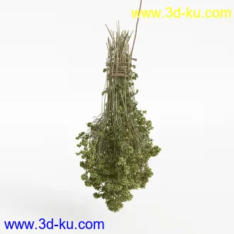 石榴,香蕉,梨子,布霖,西兰花,绿菜花,西芹,葱,蘑菇,食用菌,青菜,韭菜,蔬菜水果模型合集的图片