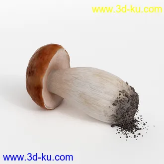 石榴,香蕉,梨子,布霖,西兰花,绿菜花,西芹,葱,蘑菇,食用菌,青菜,韭菜,蔬菜水果模型合集的图片
