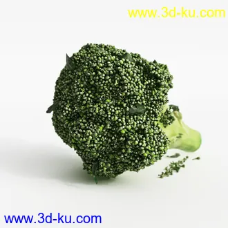 石榴,香蕉,梨子,布霖,西兰花,绿菜花,西芹,葱,蘑菇,食用菌,青菜,韭菜,蔬菜水果模型合集的图片