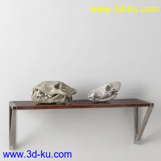 书籍,旧书,闹钟,瓶罐,杯子,望远镜,鸟标本,怀表,木制动物,动物头骨,相册,瓦缸,室内装饰品模型