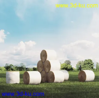 草料,草包,草堆,塑料桶,手推车,铁桶,仓库,农场,铁棚,加工厂,农场模型合集的图片