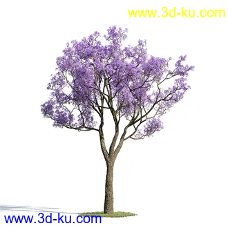 榕树,森林,丛林,栀子花,长隔木,蓝花楹,紫薇,狭叶薰衣草,玉芙蓉,女贞,植物模型合集的图片