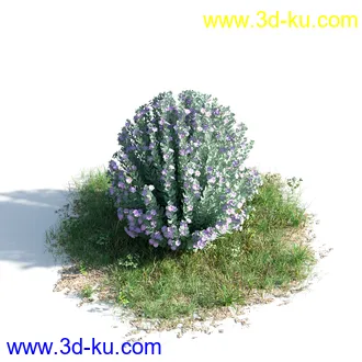 榕树,森林,丛林,栀子花,长隔木,蓝花楹,紫薇,狭叶薰衣草,玉芙蓉,女贞,植物模型合集的图片